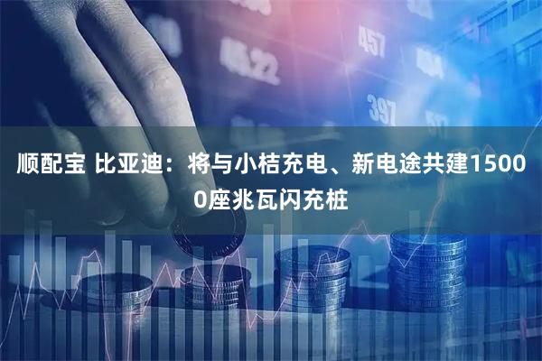顺配宝 比亚迪：将与小桔充电、新电途共建15000座兆瓦闪充桩
