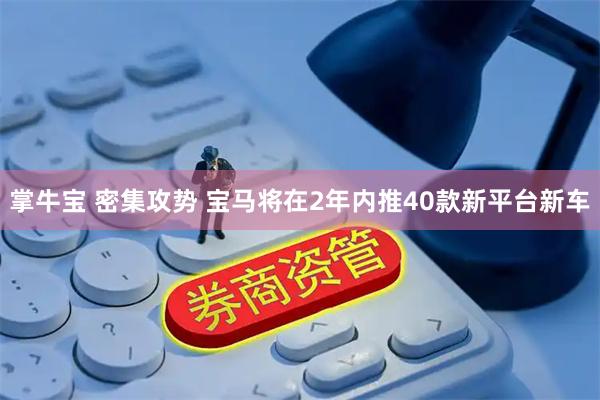 掌牛宝 密集攻势 宝马将在2年内推40款新平台新车