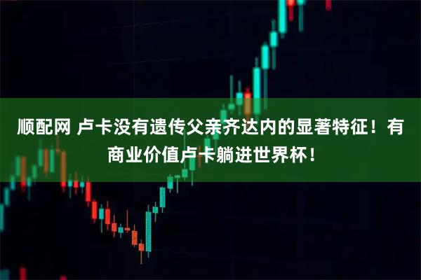 顺配网 卢卡没有遗传父亲齐达内的显著特征!有商业价值卢卡躺进世界杯!