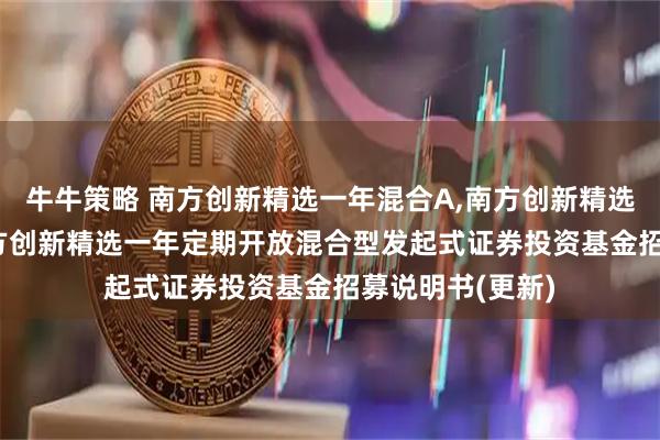 牛牛策略 南方创新精选一年混合A,南方创新精选一年混合C: 南方创新精选一年定期开放混合型发起式证券投资基金招募说明书(更新)