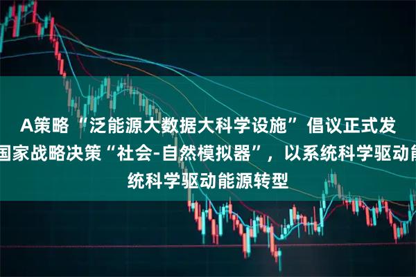 A策略 “泛能源大数据大科学设施” 倡议正式发起 打造国家战略决策“社会-自然模拟器”,以系统科学驱动能源转型