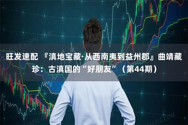 旺发速配 『滇地宝藏·从西南夷到益州郡』曲靖藏珍:古滇国的“好朋友”(第44期)