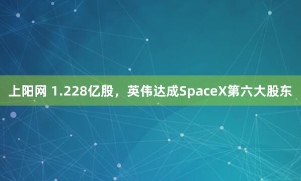 上阳网 1.228亿股，英伟达成SpaceX第六大股东